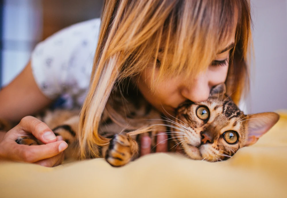 cameras for pets