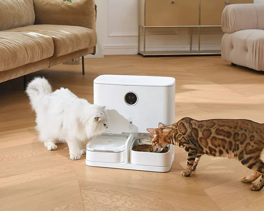 automatic pet feeder and waterer